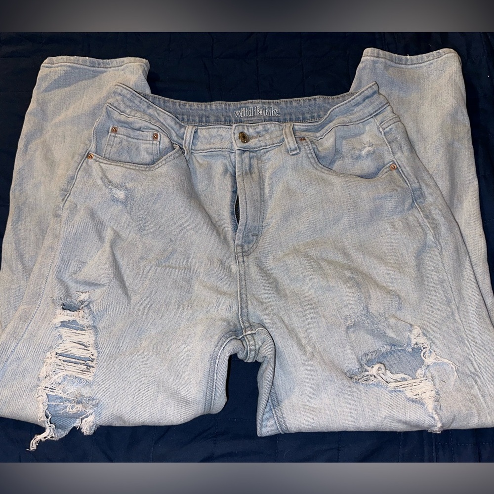 Wild fable jeans